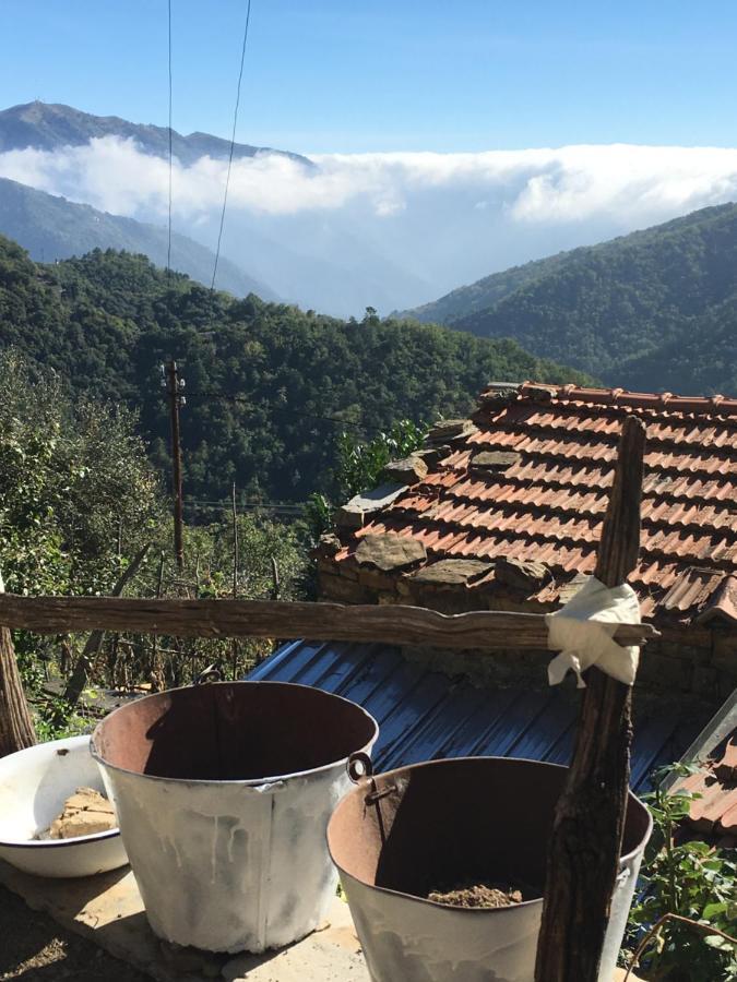 הוילה Vignai Rural House מראה חיצוני תמונה